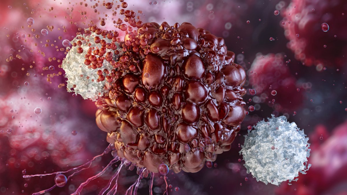 Targeted mRNA Nanoparticles Retrain Tumor Macrophages - tumor macrophages