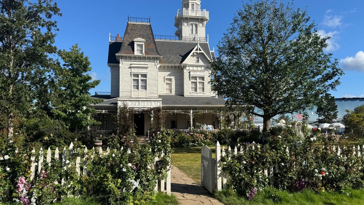 Practical Magic sequel revives iconic film franchise - practical magic sequel