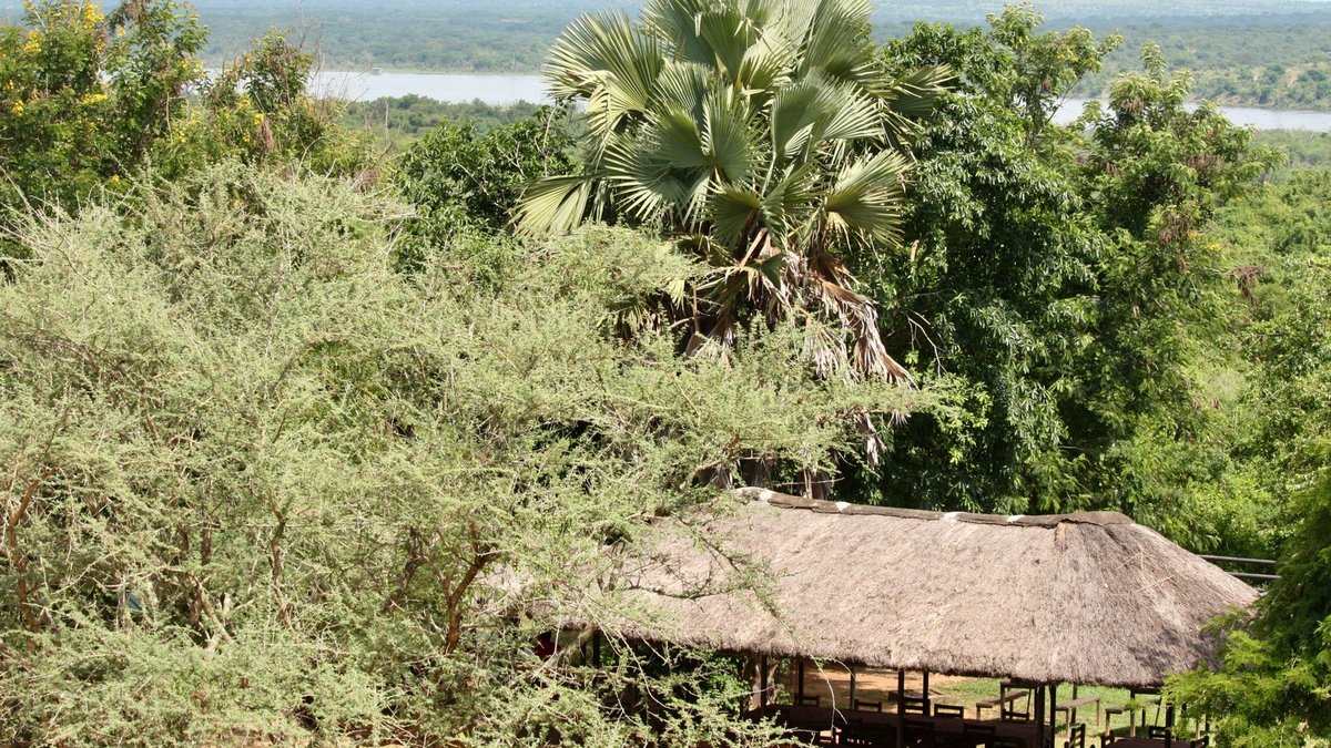 Kruger lodges blend design with wilderness