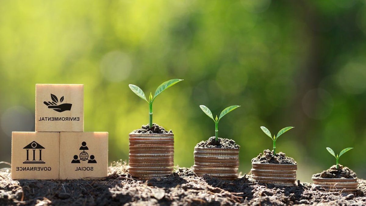Investors Eye Australia's Decentralized Energy and Water Assets - decentralized energy