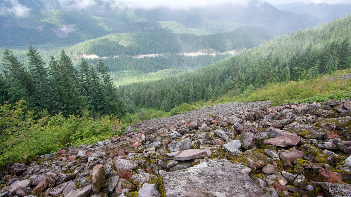 Man survives 100 foot cliff fall in Oregon Man survives 100 foot cliff fall in Oregon - cliff fall
