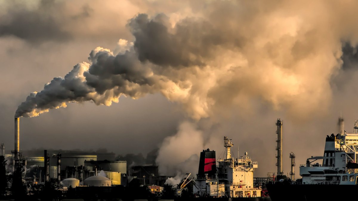 Biochar Industrial Raises $1.5M to Boost Africa's Carbon Removal Efforts - carbon removal