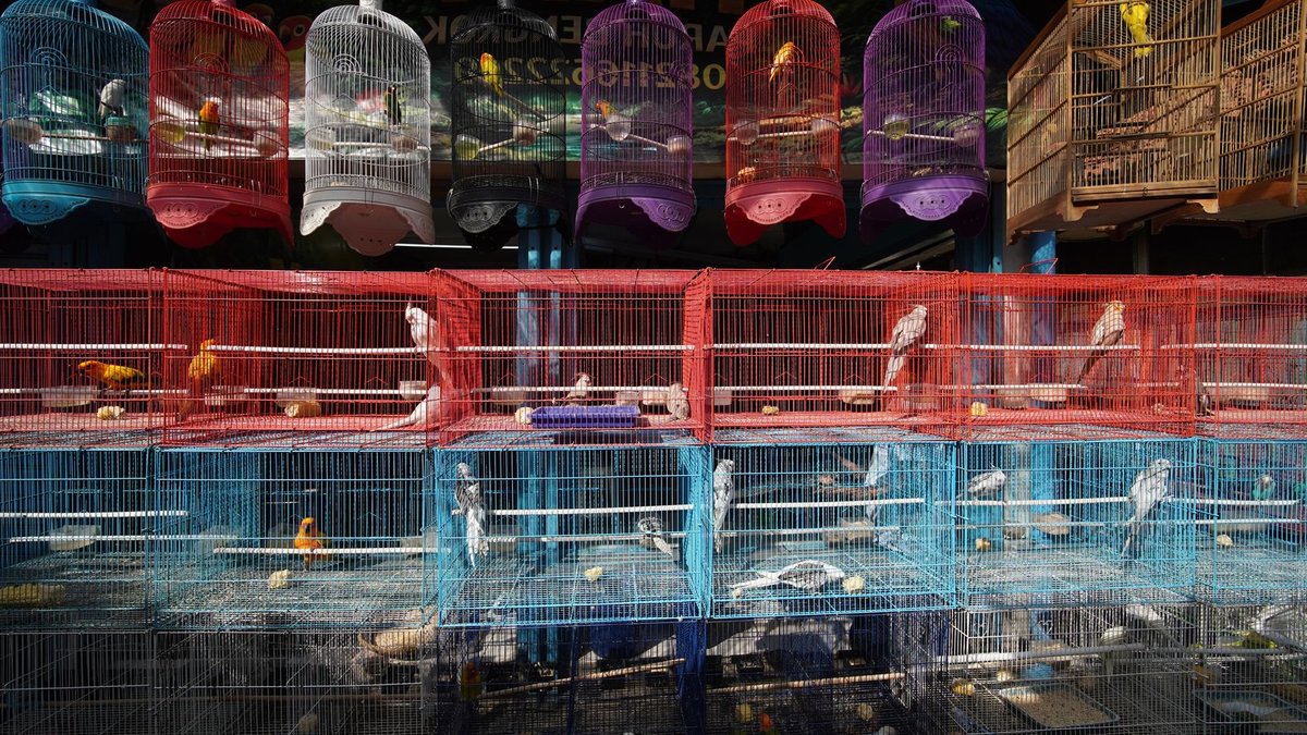 Filter cage market to reach 3.59 billion