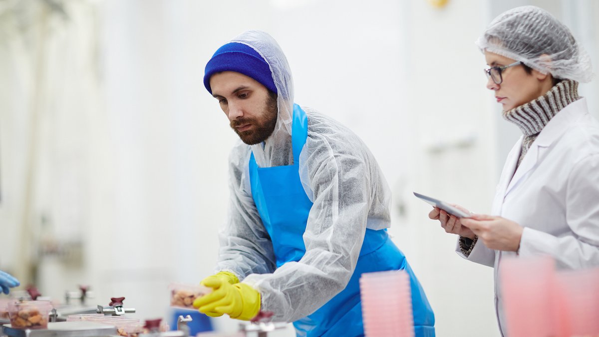Control staff in uniform checking weight and quality of seafood during processing.