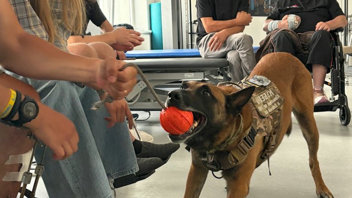 Dogs Paired with Ukrainian Veterans in Lviv - emotional support dogs