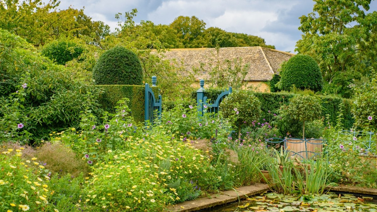 Autumn plants bring late-season colour to gardens - autumn plants