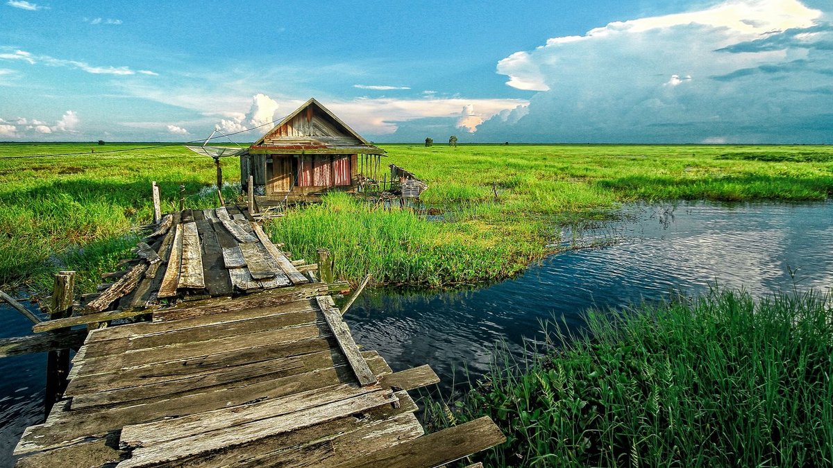 A serene view of a rustic wooden cabin on a green marsh with a wooden walkway under a vivid blue sky.