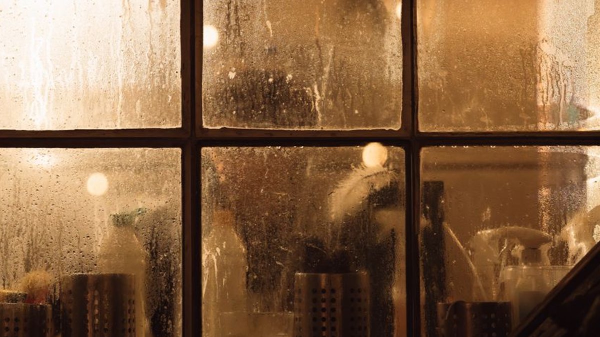 Simple fixes for NZ’s persistent home dampness Simple fixes for NZ’s persistent home dampness - home dampness
