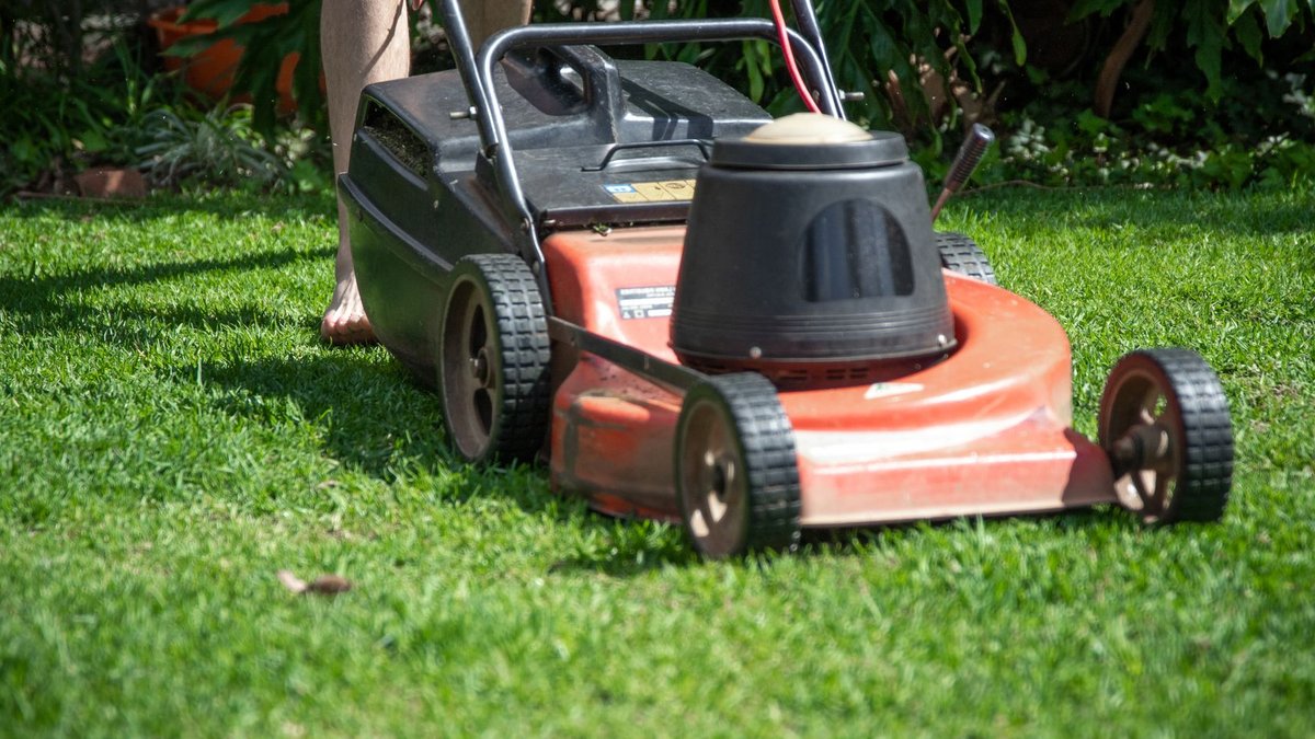 Grass Gains launches hose-free feed for retailers A person operating a lawn mower on green grass, featuring gardening tools and lush foliage.