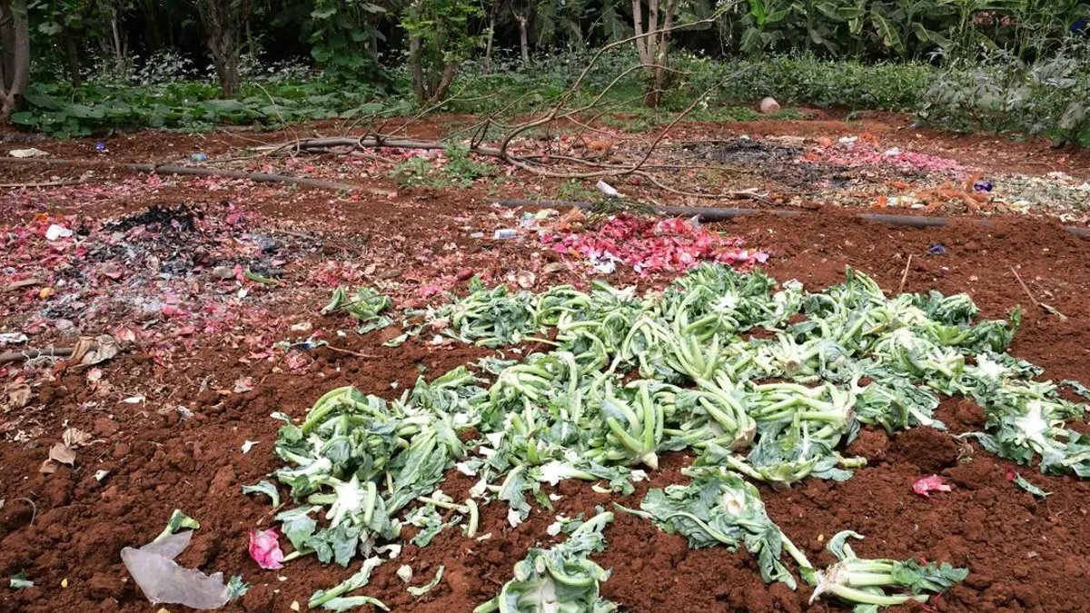 Turning farm waste into fuel and carbon credits Turning farm waste into fuel and carbon credits - farm waste fuel