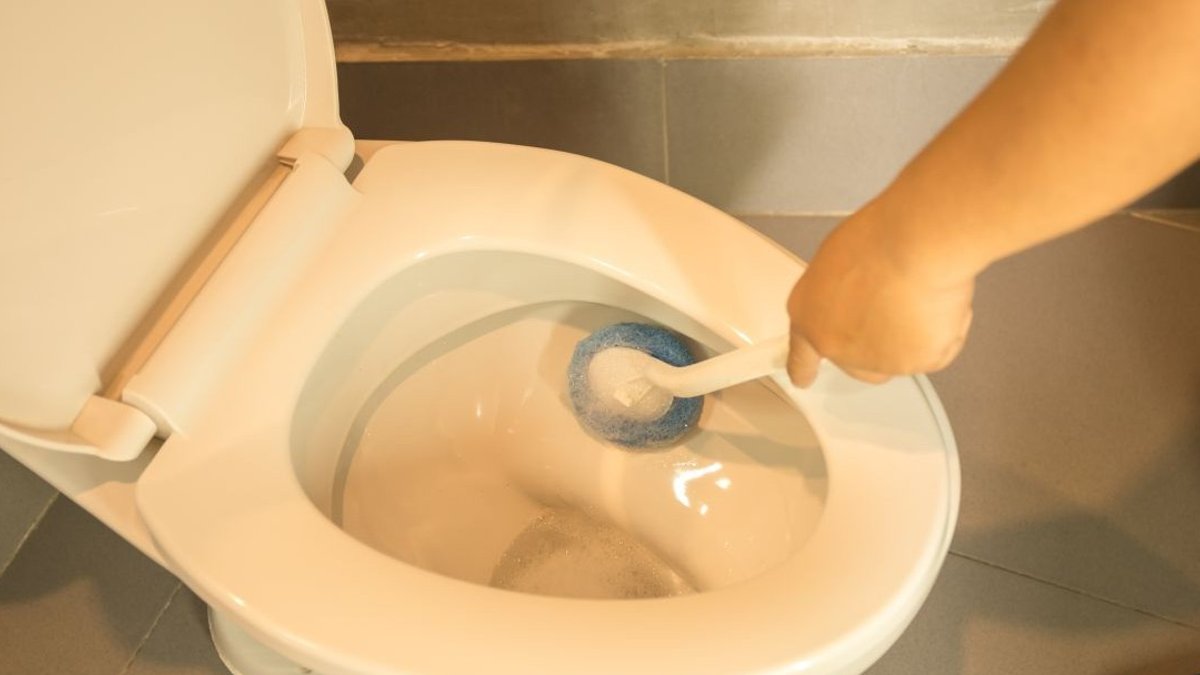 Ice and Salt Offer New Toilet-Cleaning Trick