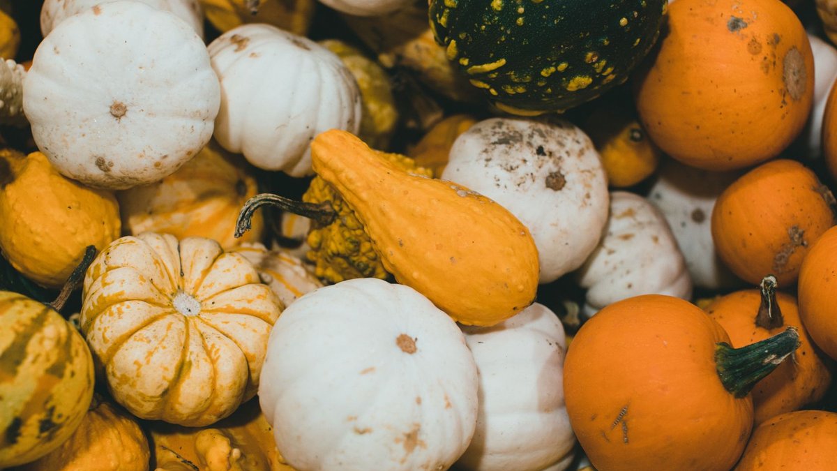 A vibrant assortment of pumpkins and gourds in various colors, symbolizing the harvest season.