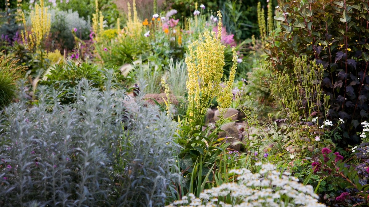 Autumn pruning tips for healthier gardens - autumn pruning tips