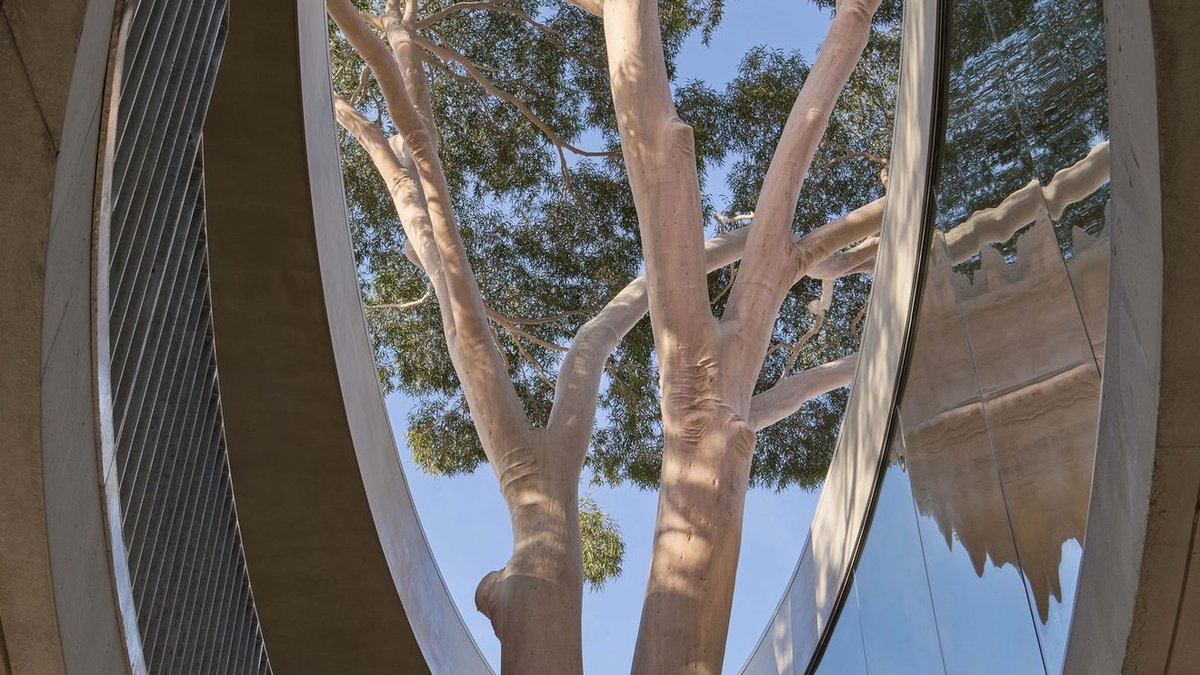 Tree preserved in college flyover design - flyover design