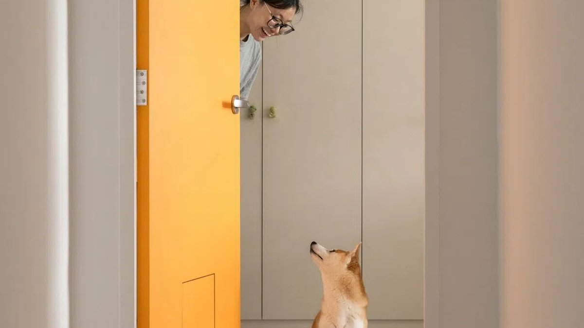 Colourful HDB flat designed for quirky couple and Shiba - quirky hdb flat