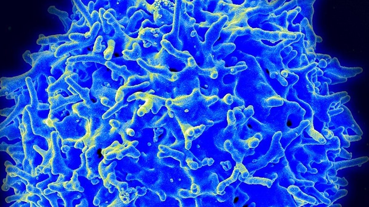 ai3Bio Secures $48M to Advance Immune Reset - immune reset