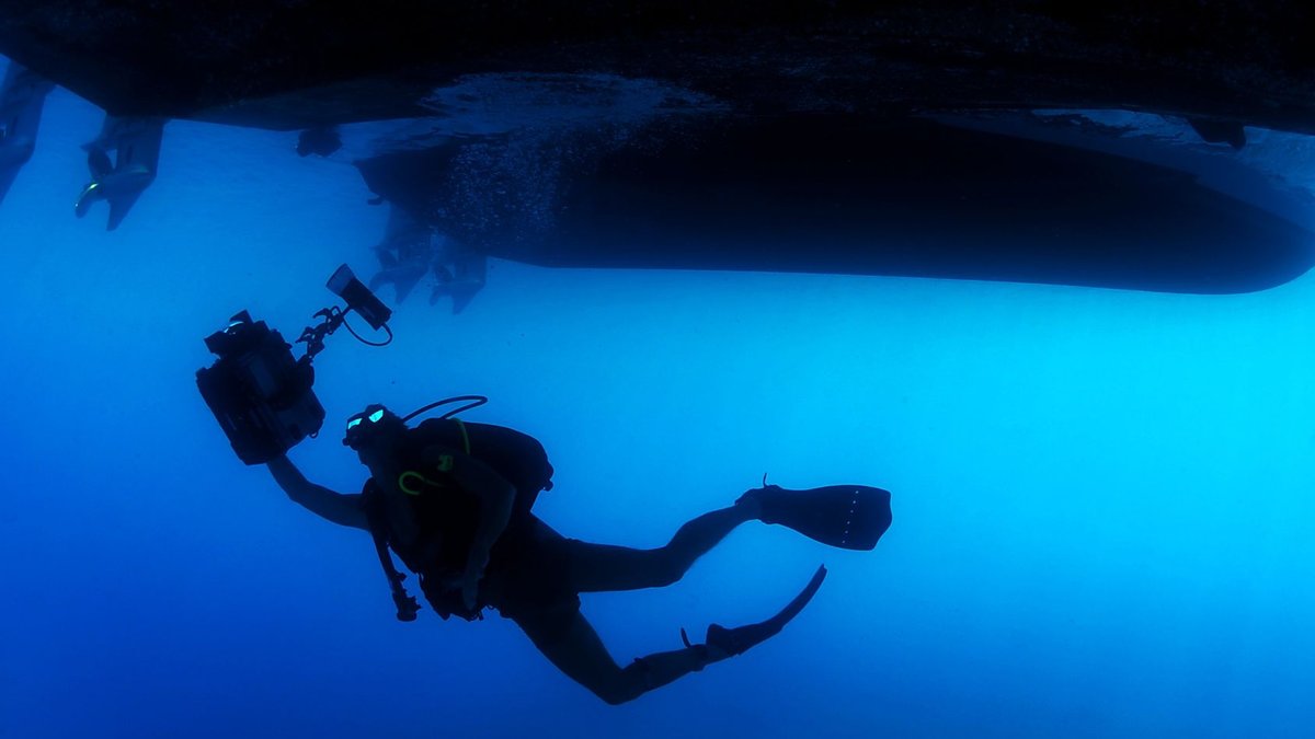 Oncology Network Withdraws From CMS Value-Based Model A diver with a camera explores the ocean depths beneath a boat.