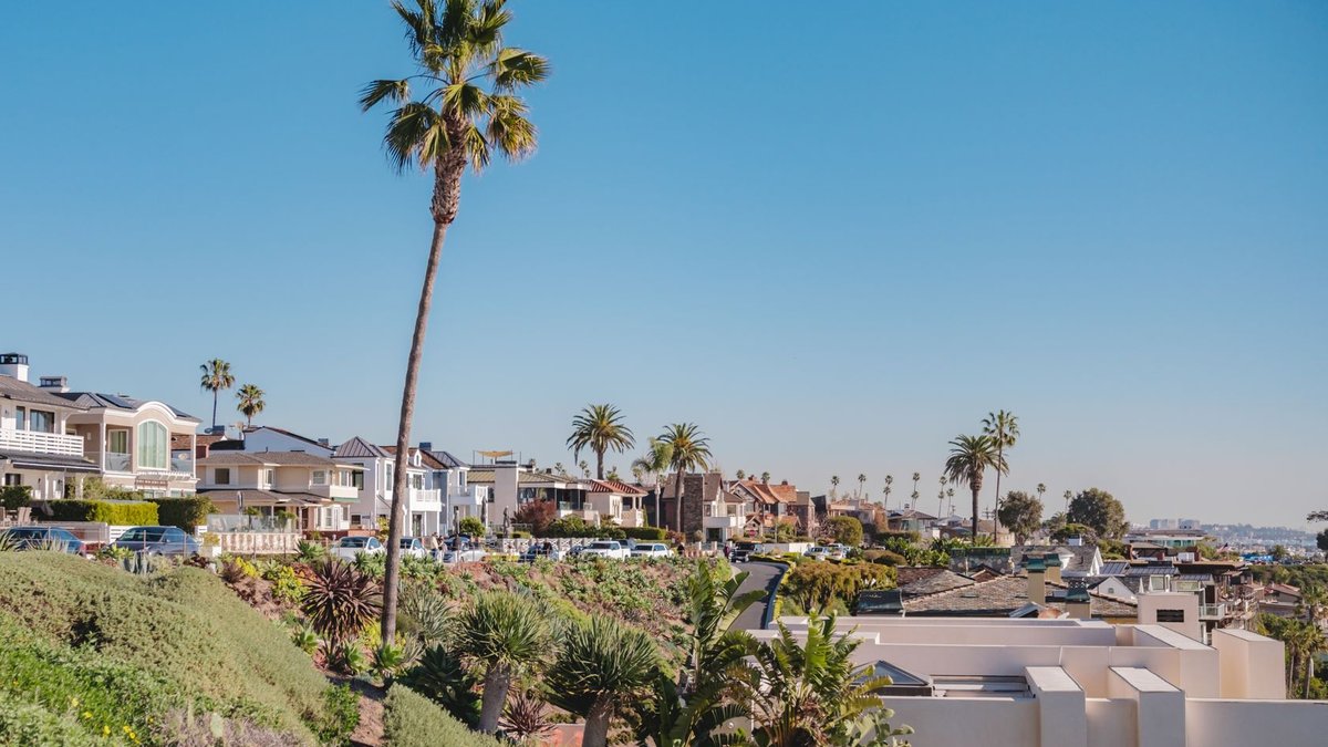 Beautiful view of luxury coastal homes and palm trees in Newport Beach, CA, under a clear blue sky.