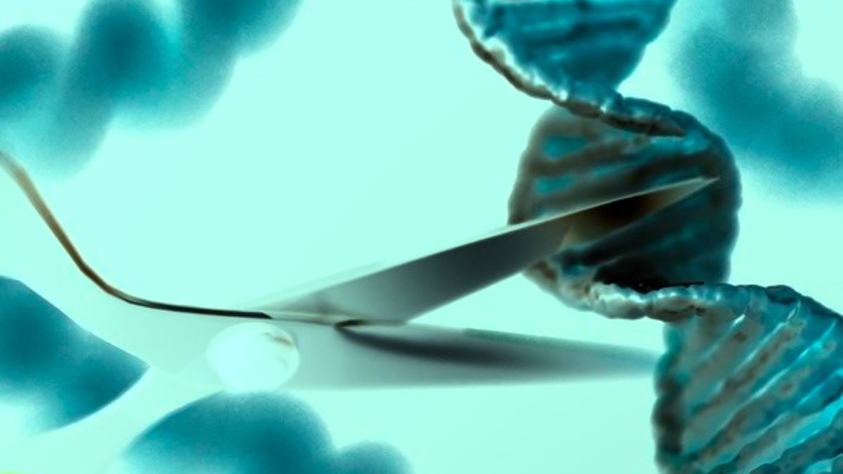 Intellia's CRISPR Therapy Moves Toward FDA Approval for HAE - crispr hae therapy