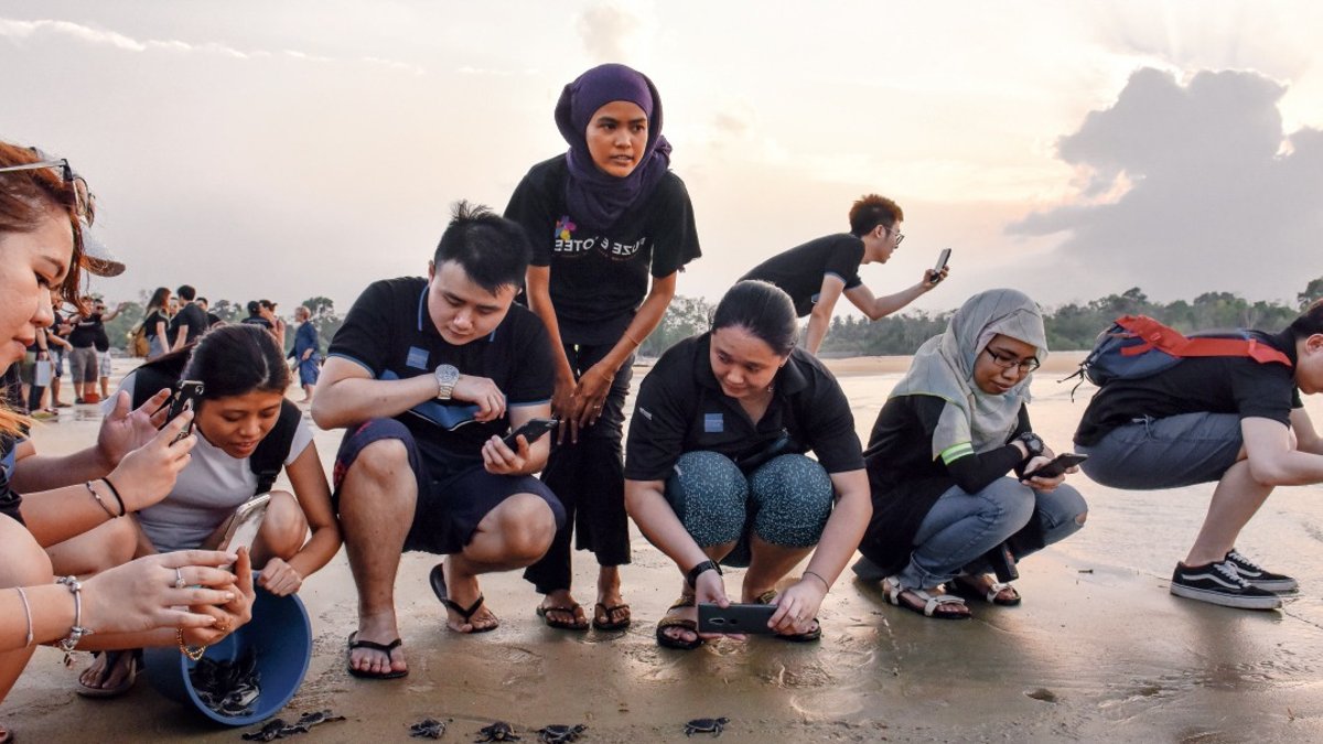 Malaysia groups blend conservation with community jobs Malaysia groups blend conservation with community jobs - malaysia groups blend conservation