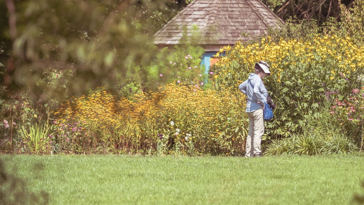 A woman in a hat stands in a lush summer garden, photographing colorful flowers.