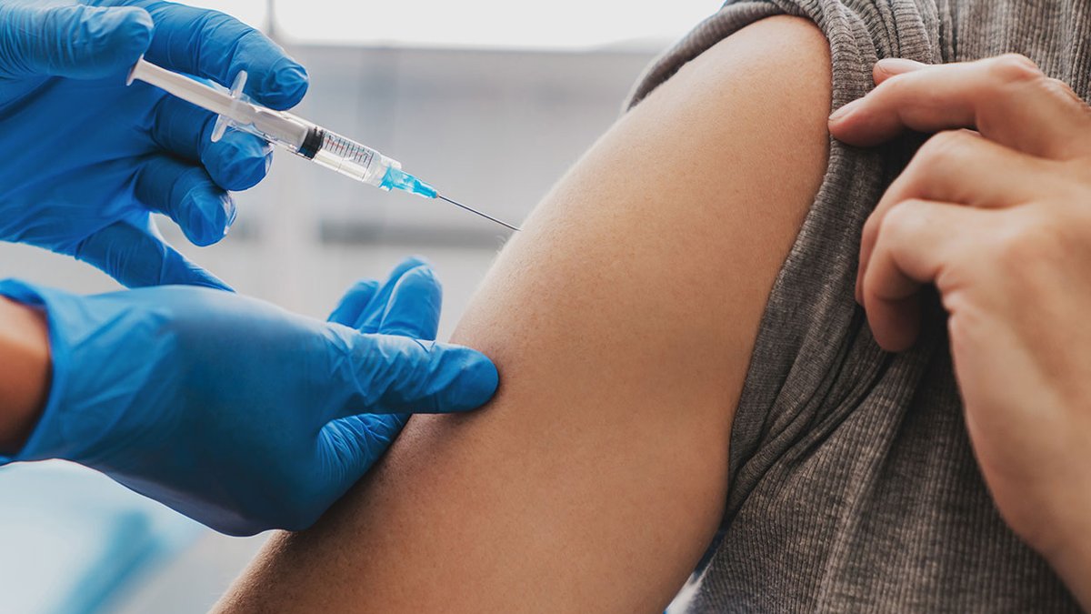 Gut bacteria linked to post-vaccine fever in new study - gut bacteria fever