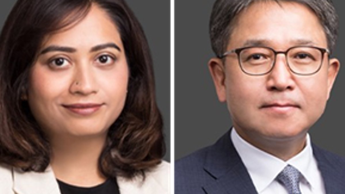 Bae Kim hires former prosecutor and India lawyer Bae Kim hires former prosecutor and India lawyer - white collar crime