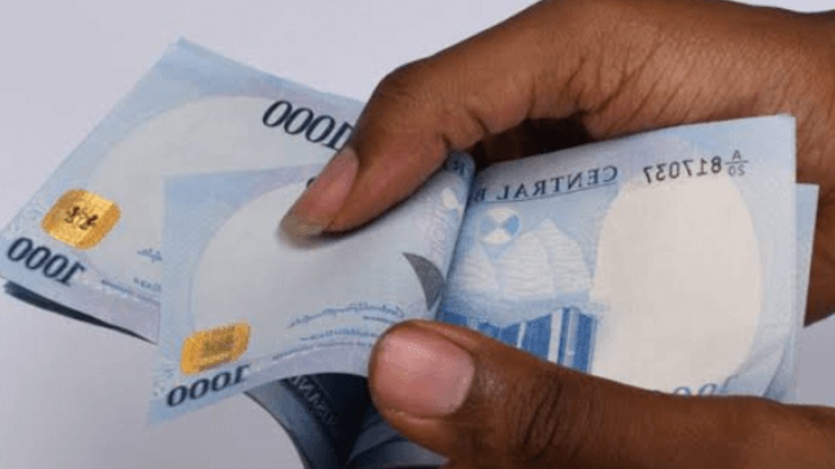 Nigeria needs audit trail for cash transfers - cash transfers