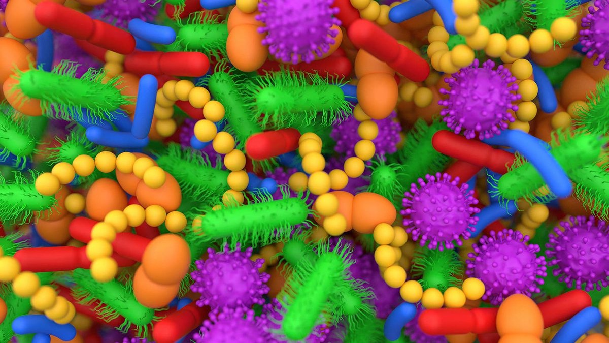 Long COVID Tied to Altered Airway Bacteria Profiles - long covid
