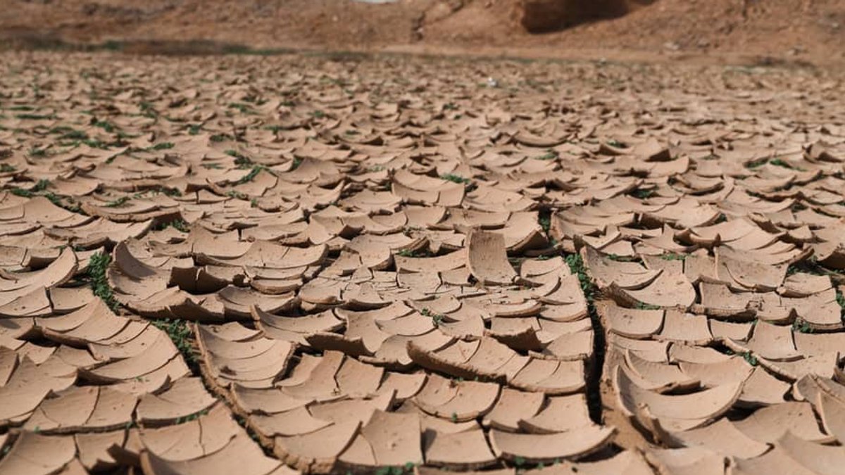 Pharma firms see climate as supply risk Pharma firms see climate as supply risk - climate risk