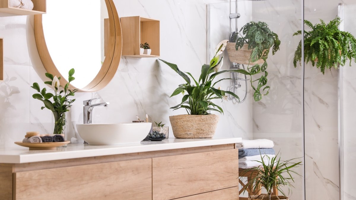 Top Plants for Steamy Bathrooms - top plants for steamy bathrooms