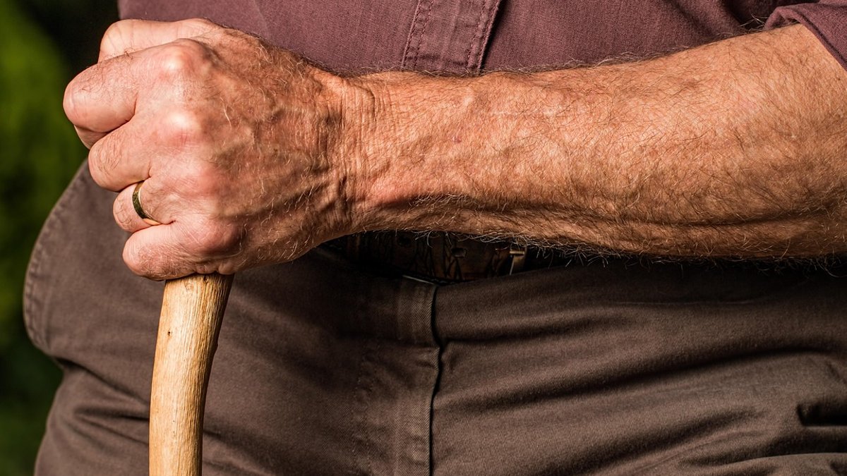 Retirees with pensions cut spending despite income security - retirees with pensions