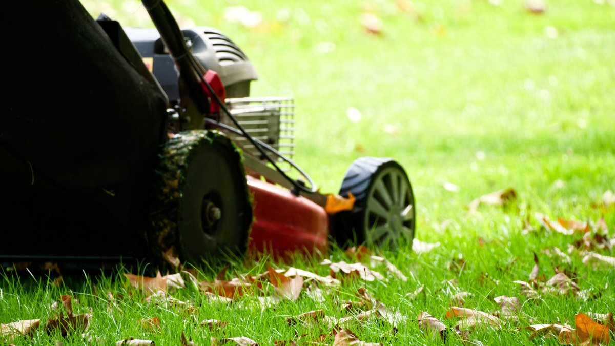 Electric leaf shredder offers fast yard cleanup alternative - electric leaf shredder
