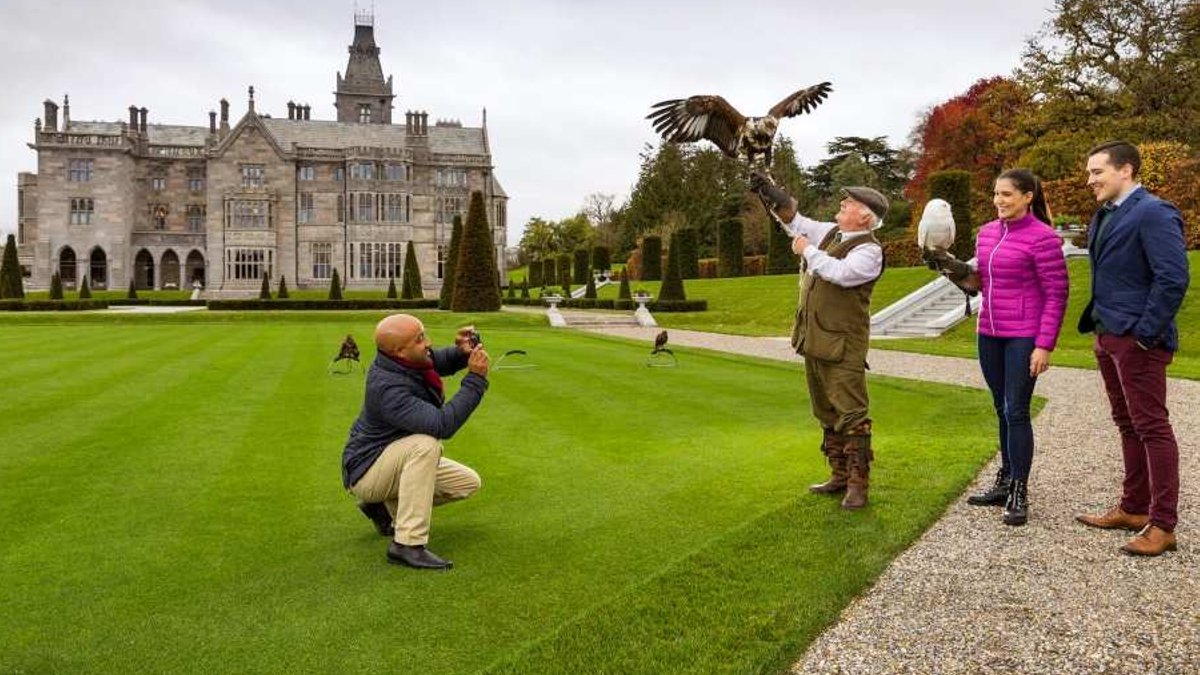 Experience economy boosts Irish tourism industry - experience economy