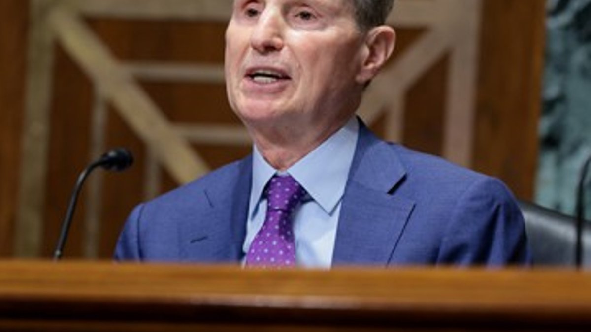 Senator warns of security gaps in US websites - website security