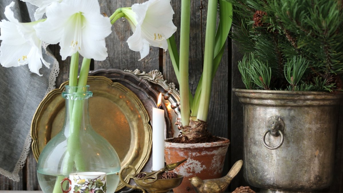 Natural Floral Displays Shine Over Store-Bought Winter Decor Natural Floral Displays Shine Over Store-Bought Winter Decor - natural winter decor
