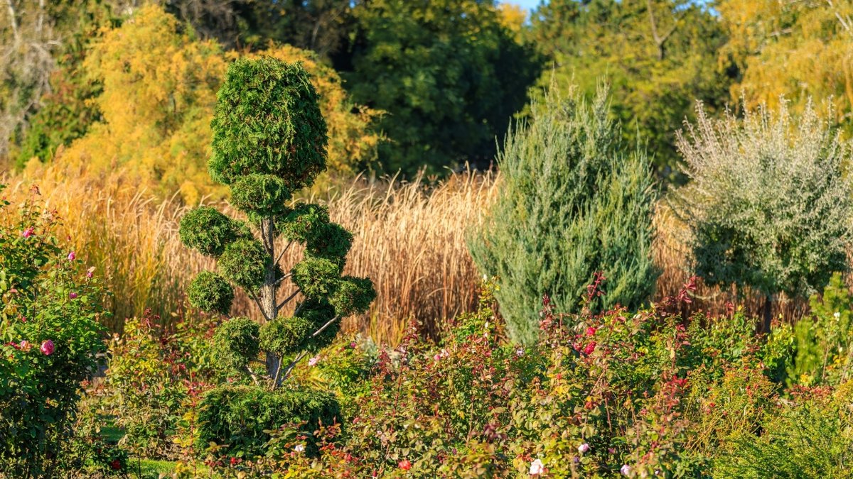 Storm Austen prompts garden safety checks - garden safety