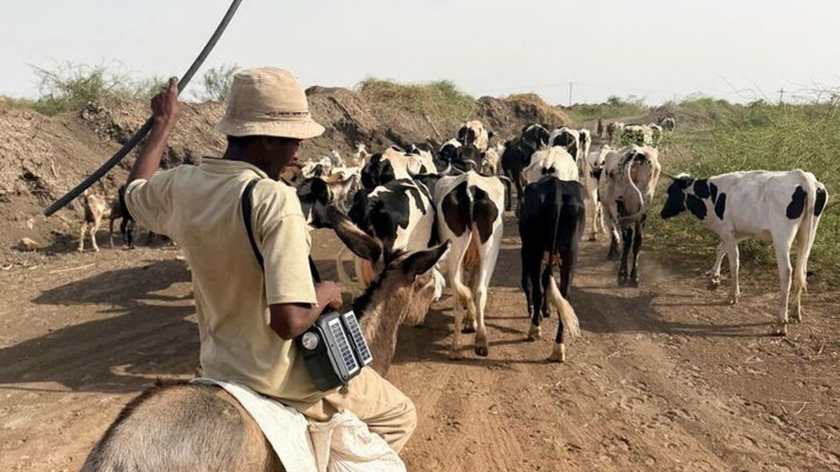 Sudan faces famine risk as drought worsens war’s hunger crisis - sudan famine risk