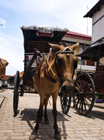 Caleza en Vigan