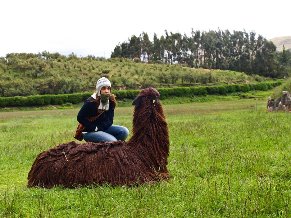 Perdona, para ir al Machu Picchu?