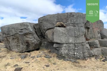 Gallow cliffs in Stafnes