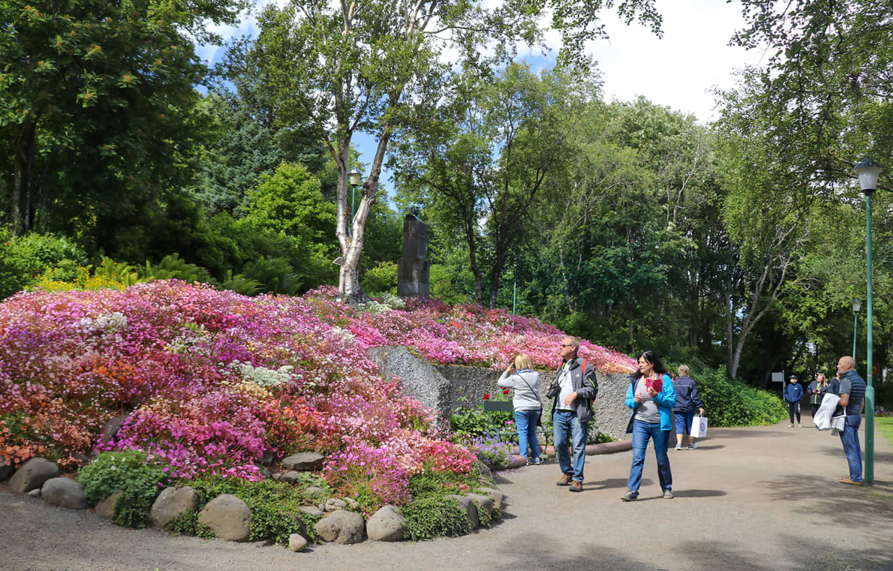 Akureyri Botanical Garden Visit North Iceland