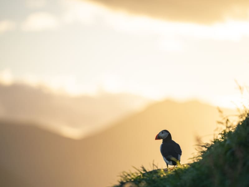 Borgarfjörður Eystri 