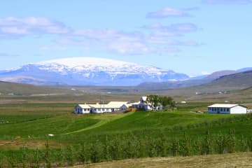 Steindórsstaðir Guesthouse