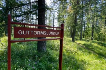 Frisbígolfvöllur í Guttormslundi