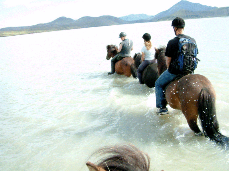 Hraun Hestar, Landmannalaugar Riding Tours