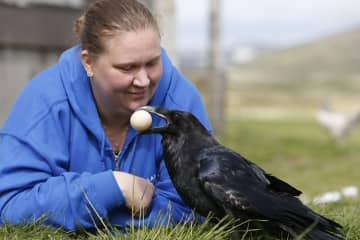 Hólar Petting Farm