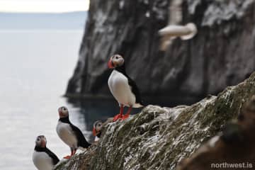 Ferðaskrifstofa Skagafjarðar