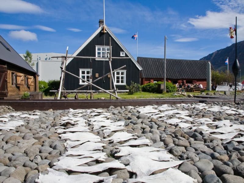 Westfjords Heritage Museum