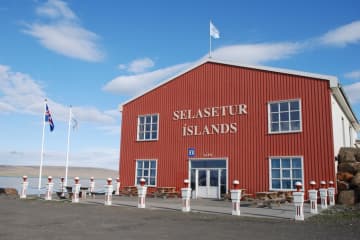 Selasetur Íslands